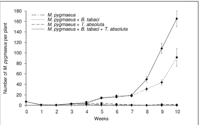 Figure  1: Population  dynamic  of  the  predator  M.  pygmaeus.  Mean  number  (±SE)  of  individuals  (adults and juveniles) per plant in no-prey system (control; mixed line), with B