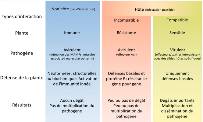 Figure 1 : Relations entre les plantes et les bioagresseurs, d’après Hammond-Kosack et  Kanyuka, 2007 et Cooper et Jones, 1983 