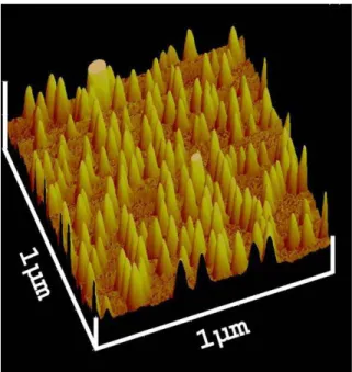 Fig. 4. AFM image (1 mm  1 mm) of InAs QDs of the uncapped optimized sample grown on GaAs (1 0 0).
