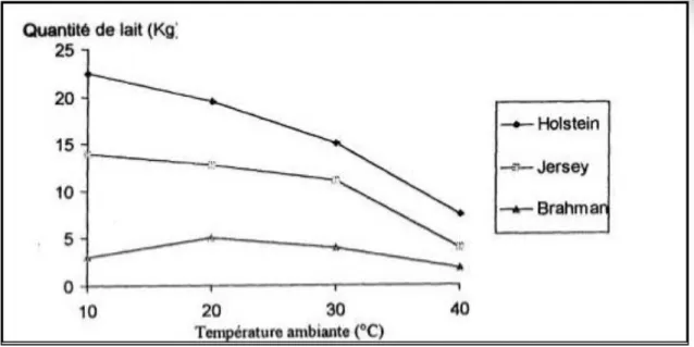 Figure 5:  Effet de la chaleur  sur la production laitière(BERMAN et MELTZER, 1973) 