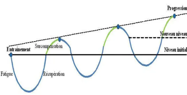 Figure 01: phénomène de surcompensation (Nautilus , 2015) 