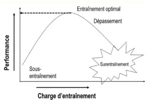 Figure 02 : Evolution de la capacité de performance jusqu’à la zone de capacité optimale,  suivie d’une régression de la performance en cas de temps de récupération insuffisant (Gérald  Gremion, Thierry Kuntzer, 2014) 