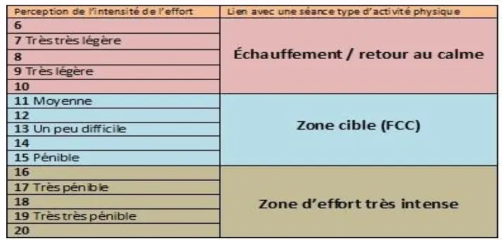 Tableau 02 : Echelle de Borg (RPE)  1.10.1-Echelle de Borg (RPE) :  
