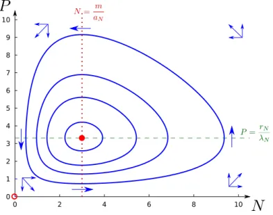 Figure 2.5 – Trajectoires du modèle de Lotka-Volterra (trait plein - r N = 2, λ N = 0.6, α N = 0.5 et m = 1.5 , avec pour conditions initiales (0.5, 4); (1, 4); (1.5, 4); (2.5, 4) .).