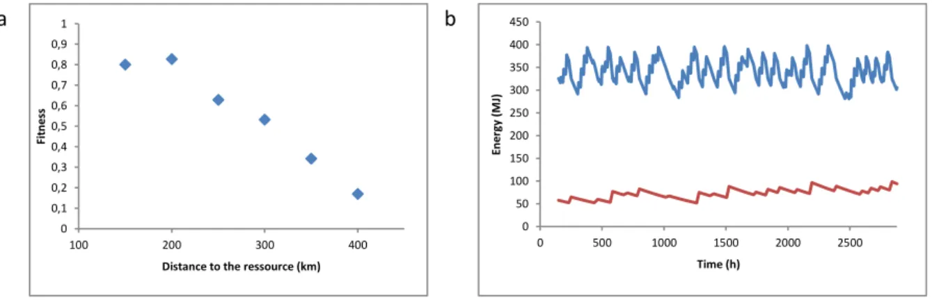 Figure 2.4.1: (a) Le succès de reproduction en function de la distance à parcourir. (b) Evolution de l’énergie (MJ)  de la femelle (bleu) et du jeune (rouge) au cours du temps pour une simulation