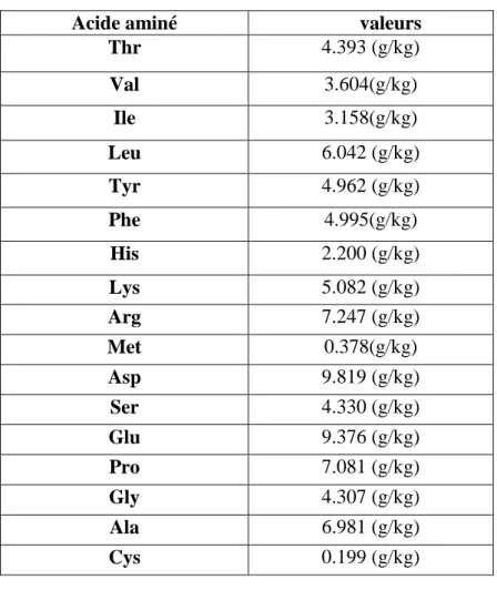 Tableau 03  : Les acides aminés de Phragmites australis (Baran et al., 2002). 