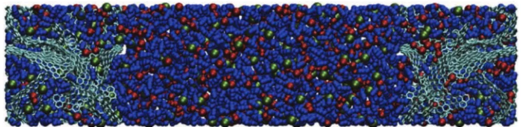 Fig. 2. Repartition of the adsorption sites inside our modelled CDC electrode.