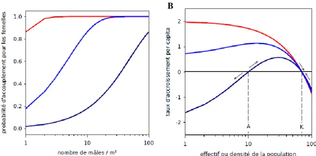Figure 1  :  Les  effets  Allee .  A.  Exemple  d’effet  Allee  élémentaire :  la  probabilité  d’accouplement  des  femelles  augmente  avec  la  densité  des  mâles  dans  la  population
