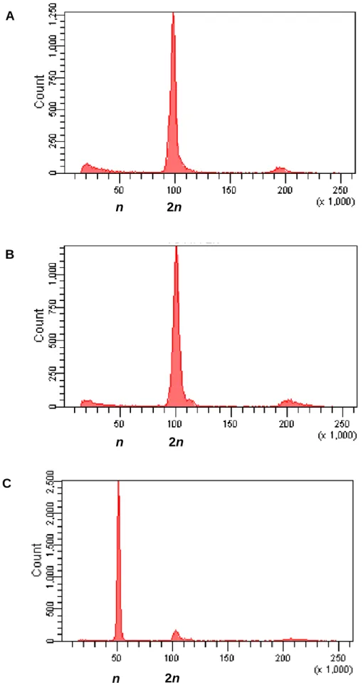 Figure 2. Flow cytometric histograms of the number of nuclei registered as a function of their fluorescence  intensity (FI), for a representative female (A), diploid male (B) and haploid male (C)