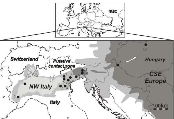 Figure 1: Location of the European D. v. virgifera samples collected in 2012 in North West (NW) Italy, in the  contact zone and in Central South Eastern (CSE) Europe