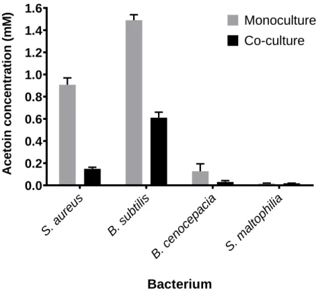 Figure S3: Acetoin concentration in supernatant of S. aureus SA2599, B. subtilis, B. cenocepacia and  S