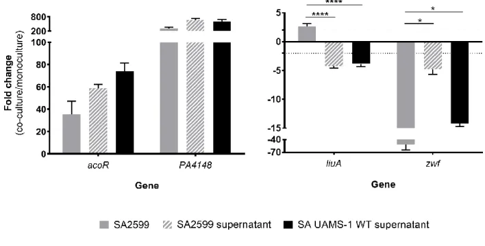 Figure  S4:  Fold  change  of  P. aeruginosa  acoR,  PA4148,  liuA  and  zwf  gene  expression  induced  by  culture with S
