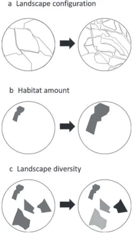 Figure 3. Représentation schématique du changement de la configuration du paysage (a),  d’une quantité d’habitats (composition) (b) et d’une combinaison d’une complexité de  composition et configuration du paysage (c)