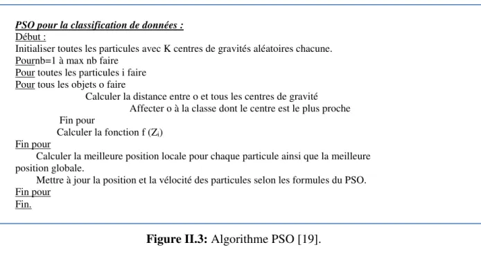 Figure II.3: Algorithme PSO [19]. 