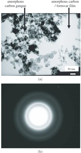 Fig. 6. SEM micrographs of (a) CL 0.3 and (b) RS 0.3 samples.