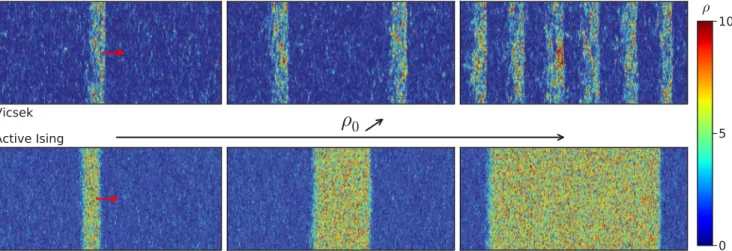 FIG. 1. (Color online) Top: Micro-phase separation in the Vicsek model. η = 0.4, v 0 = 0.5, ρ 0 = 0.83, 1.05, 1.93