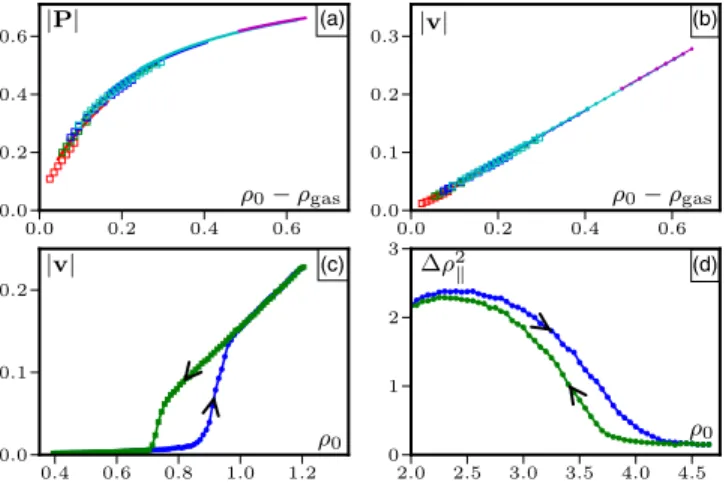 FIG. 3 (color online). (a) Polarization and (b) mean velocity vs ρ 0 for L ¼ 2048 (squares) and L ¼ 1024 (lines)