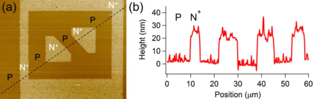 Fig. 2. (a) Atomic force microscopy image of the N + /P structure and (b) height proﬁle following the black line in (a)