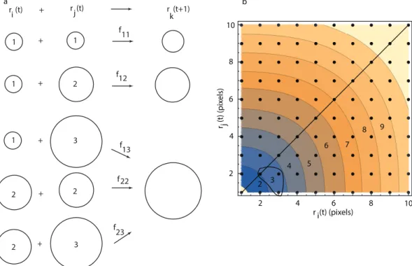 Figure 5. (a) binary collisions between droplets of radii r i ( t ) and r j ( t ) lead to a larger droplet of radius r k ( t + 1 ) with a collision transition rate f ij 
