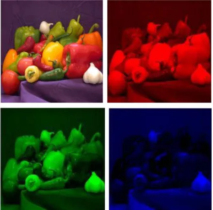 Fig. I.3 : Décomposition d'une image couleur en ses trois composantes rouge, verte et bleue