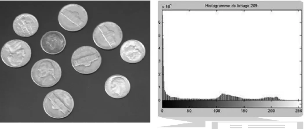 Fig. I.5 : Histogramme d’une image coins en niveau de gris. 