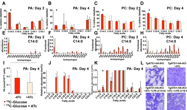 Fig 7. U- 13 C-glucose incorporation to fatty acids determines the apicoplast generates the FA moieties for production of most PC and PI molecular species