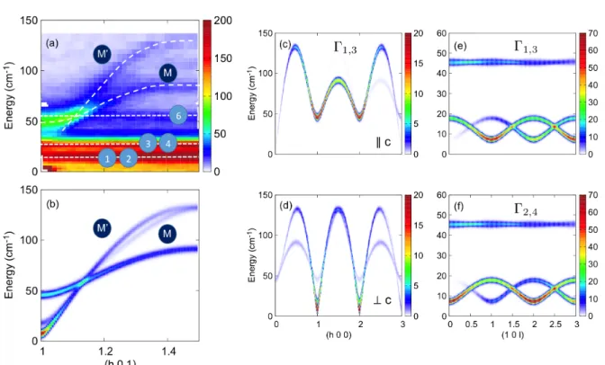 FIG. 2. Spin dynamics in HoMnO 3 ˙(a) Mn 3+ spin waves and Ho 3+ CF excitations measured by INS along the (h, 0, 1) reciprocal space direction