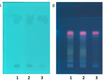 Fig. 2. HPTLC ﬁngerprints of three extracts n.1, 2 and 3 on plates RP-18: A) After a pre-migration step with cyclohexane as the mobile phase and illuminated under white light; B) development in a second step with cyclohexane-ethyl acetate-methanol-phosphor
