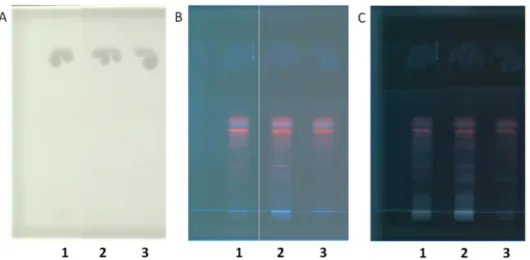 Fig. 4. HPTLC ﬁ ngerprints of three extracts n.1, 2, 3 on silica gel 60 F254 plates: A) After a pre-migration step with dichloromethane as the mobile phase and illuminated under white light; B) development in a second step with cyclohexane-ethyl acetate-me