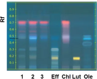 Fig. 6. Characterization of Oleuropein in extract 2 (left) and Efﬁaline (right) by HPTLC-ESI—MS Oleuropein expected at m/z 539.2, observed with a Na adduct at m/z 562.3: (539.2 þ 23 Na) ± 0.1 Atomic mass of Oleuropein is 540.2 u.