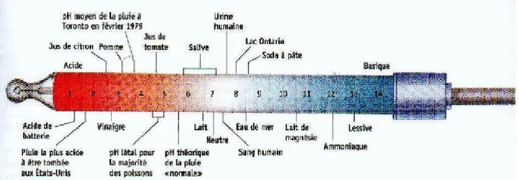 Figure 05 : Le P H de quelques solutions aqueses.