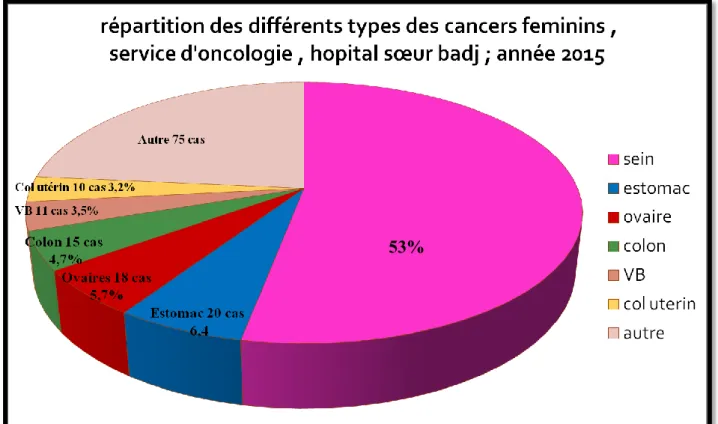 Figure n°04 : répartition des différents types des cancers féminins, service d’oncologie l’EPH  les sœurs Bedj Chlef (BOUCHERDOUD (S), Situation Epidémiologique Du Cancer Du Sein,  journée des sages-femmes 5mai, Chlef Mai 2016) 