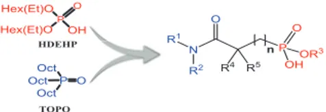 Fig. 1. Structural modifications considered for the amido-phosphonic acid and amido-phosphonate ligands 