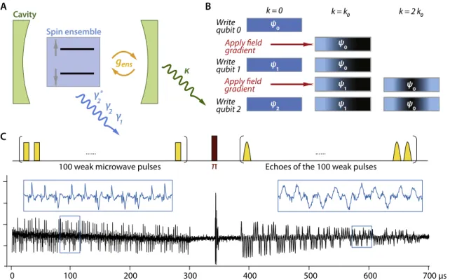 Fig. 4. (A) Summary of key terms in cavity quantum electrodynamics with spin ensembles