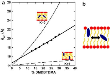 FIG. 4: (a) Evolution of the hydrocarbon bilayer thickness δ H C versus the molar percentage of DMDBTDMA within the bilayers: the dotted and dashed lines display the models considering extractant molecules buried in the bilayer and at the interface of the 