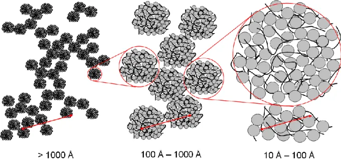 Figure  1:  Sketch  of  the  PSS-lysozyme  system  at  the  3  different  scales  examined  in  the  present paper