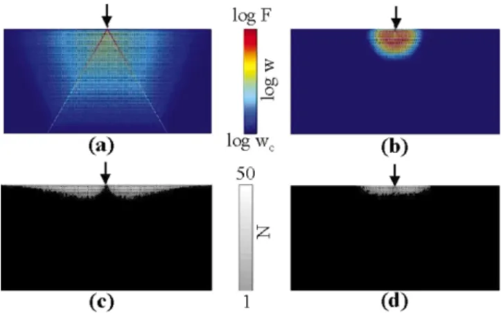 FIG. 4. 共 Color 兲 Mean distribution of the overloads 共 top 兲 and of the displacements 共 bottom 兲 generated by the force F