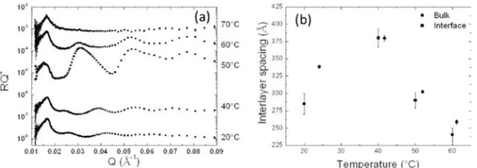 Figure 5. (a) Evolution with temperature of the SNR curve. (b) Comparison between the evolution with temperature of the interlayer spacing of tubes either in bulk or at the air/water interface.