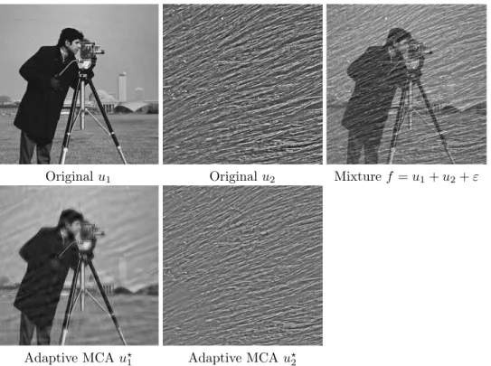 Figure 5.1, second row, shows the results of a first separation experiment where D 1 is a fixed redundant wavelet tight frame and D 2 is a learned dictionary