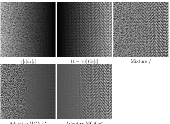Fig. 5.4. Example of adaptive separation using two learned dictionaries initialized by the user.