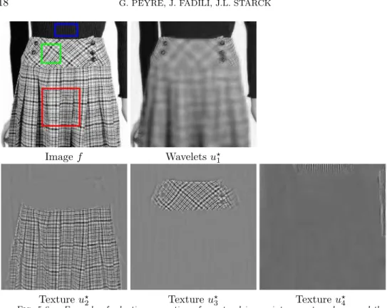 Fig. 5.6. Example of adaptive separation of a natural image into a cartoon layer and three texture layers