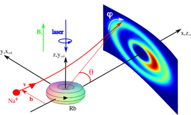 FIG. 1: A homogeneous magnetic field B h sets the quantifi- quantifi-cation z-axis and optical pumping leads to magnetic sublevels of the target state with well defined hyperfine m F quantum numbers, depending on the handedness of the laser pulse.