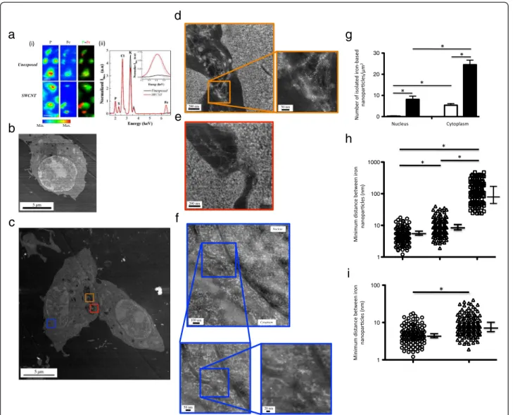 Figure 2 X-ray fluorescence analysis, and HAADF-STEM images of unexposed and SWCNT-exposed cells
