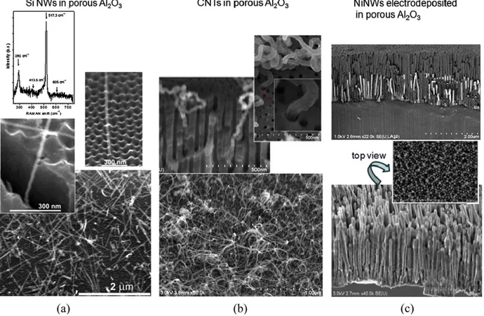 Fig. 2. Various nanostructures grown inside vertical porous anodic alumina templates. (a): Different SEM views of Si NWs grown from electrode-  posited Cu catalysts