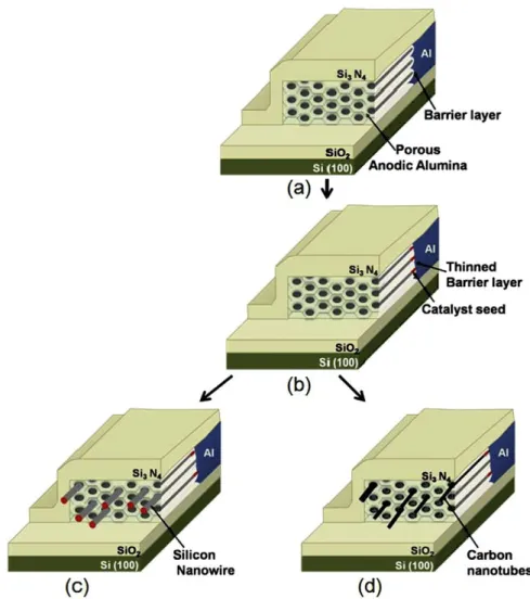 Fig. 4. Schematic principle of the growth of Si-NWs and CNTs inside porous lateral alumina membranes