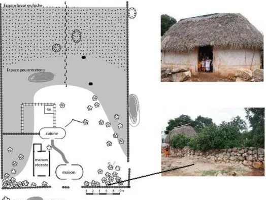 FIG . 3 – Un sòolar de Xul (Yucatán), la végétation délimite l’espace utilisé au quotidien (photos F