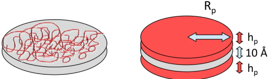 Fig. 6. Schematic representation of polymer chains flatly adsorbed on clay disks.  