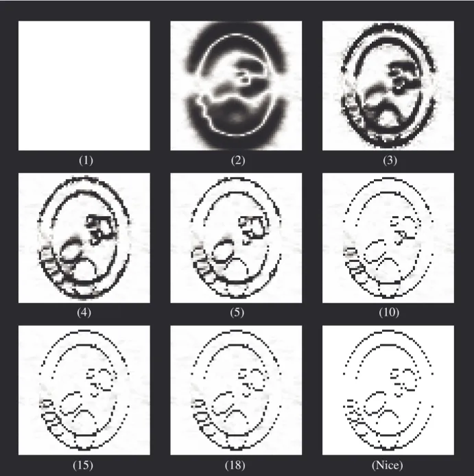 Figure 4-14: Evolution du processus de ligne vertical au fil des étapes (niveaux de gris)