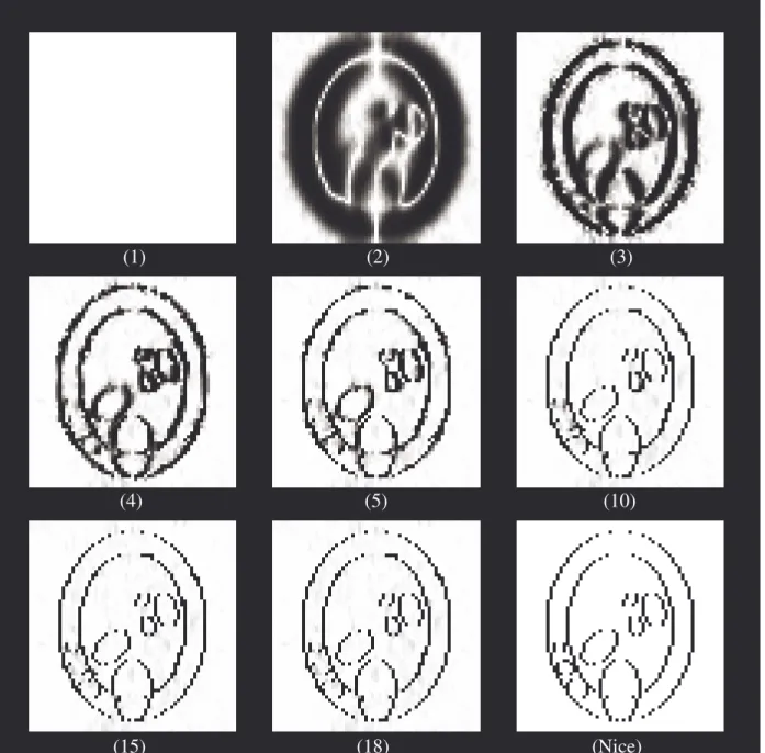 Figure 4-15: Evolution du processus de ligne horizontal au fil des étapes (niveaux de gris)