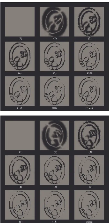 Figure 4-16: Evolution des variables auxiliaires diagonales au fil des étapes (niveaux de gris)